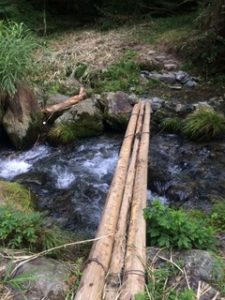 都幾川　渓流釣り　イワナ